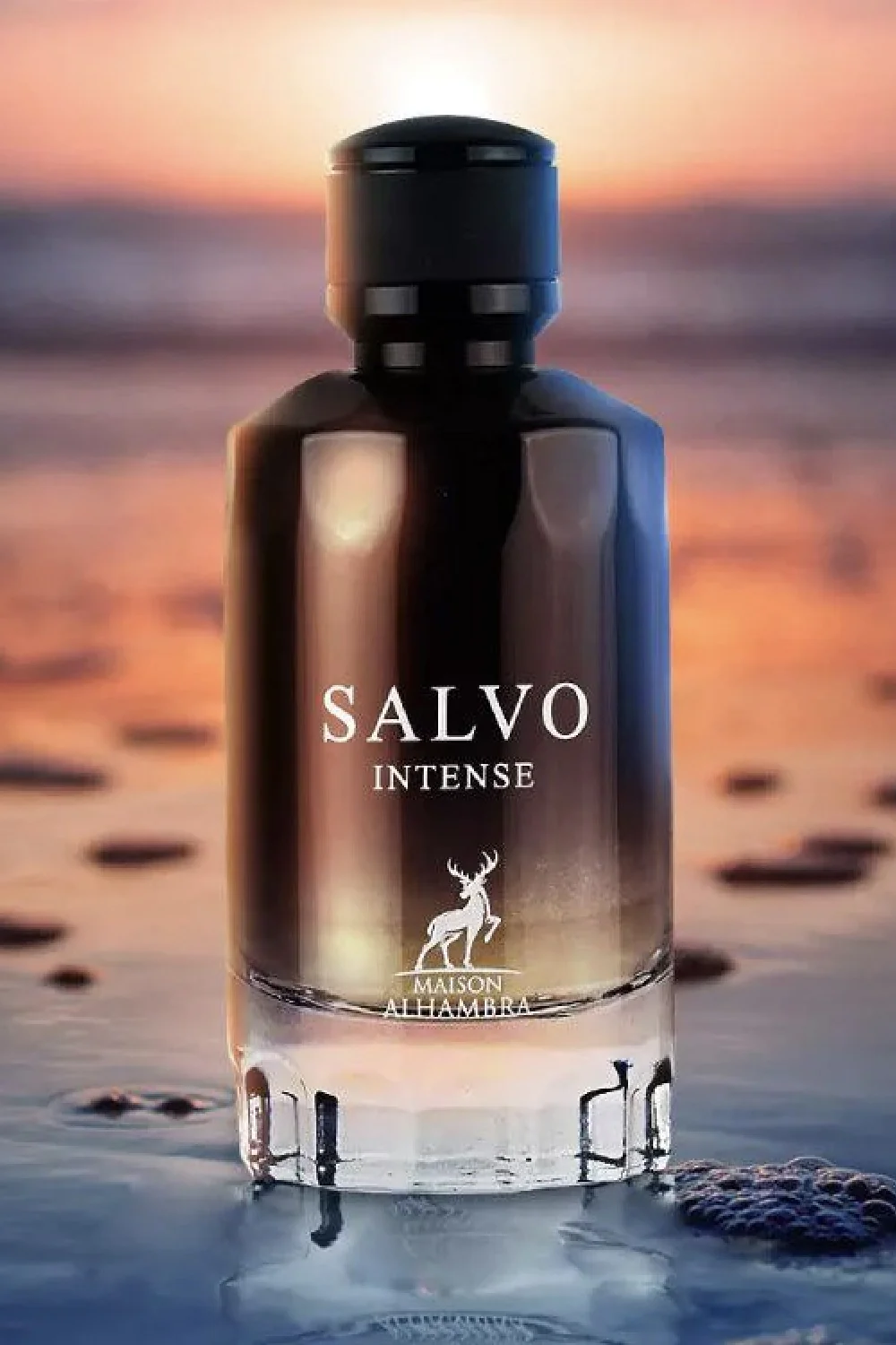 Eau de Parfum Salvo Intense ALHAMBRA 100mL - Maison Alhambra Perfumes Dubaï - Image 3