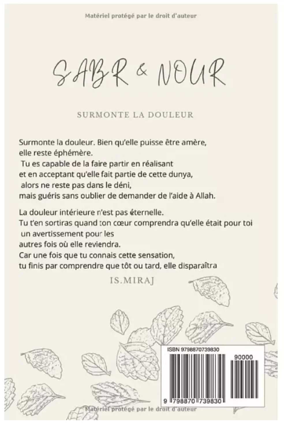 Sabr & Nour : Surmonte la douleur - Is. Miraj - Image 3